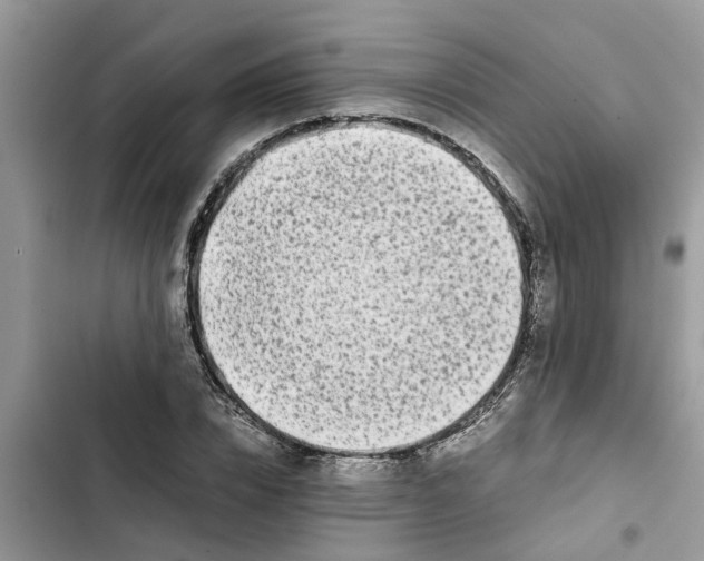 X0000103270832200809191740