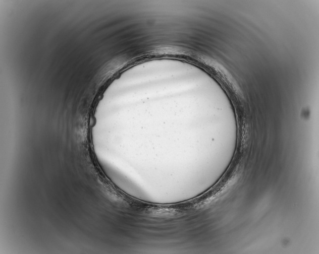 X0000103270833200809191740