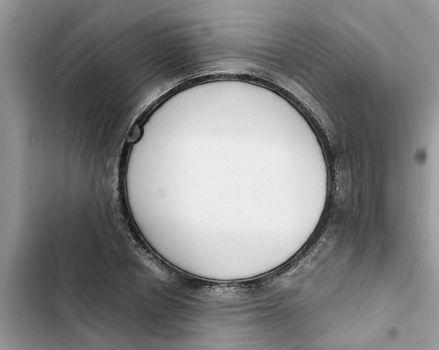 X0000103270834200809191740