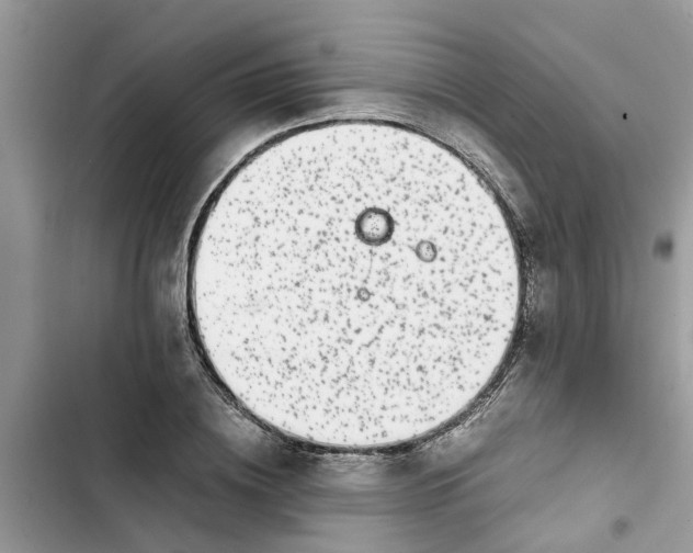 X0000103270836200809191740