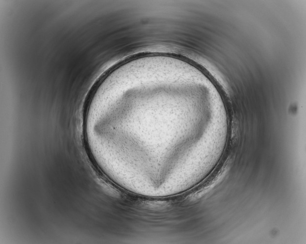 X0000103270837200809191740