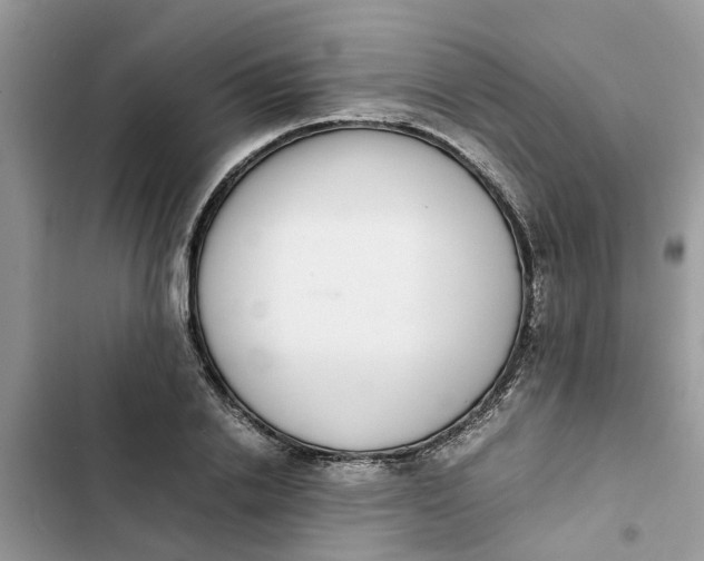 X0000103270838200809191740