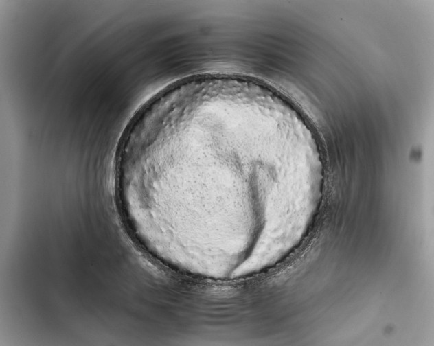 X0000103270839200809191740