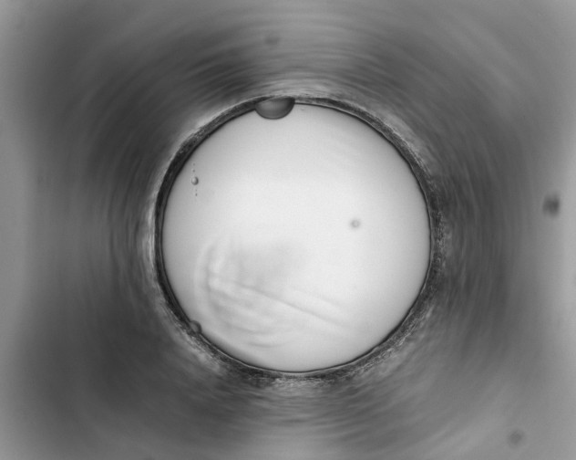 X0000103270840200809191740