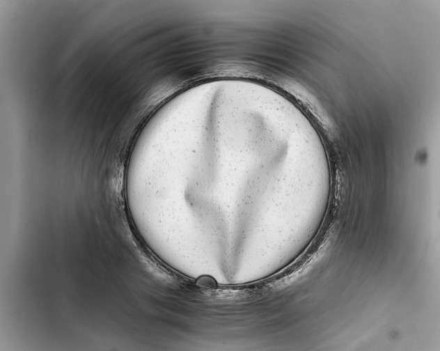 X0000103270841200809191740