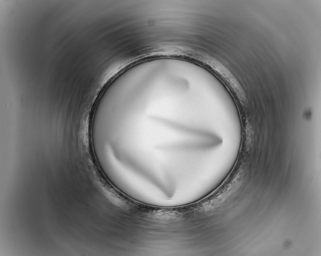 X0000103270842200809191740