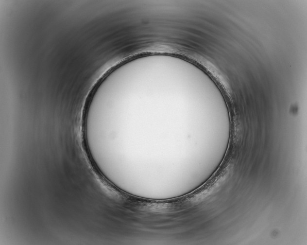 X0000103270845200809191740