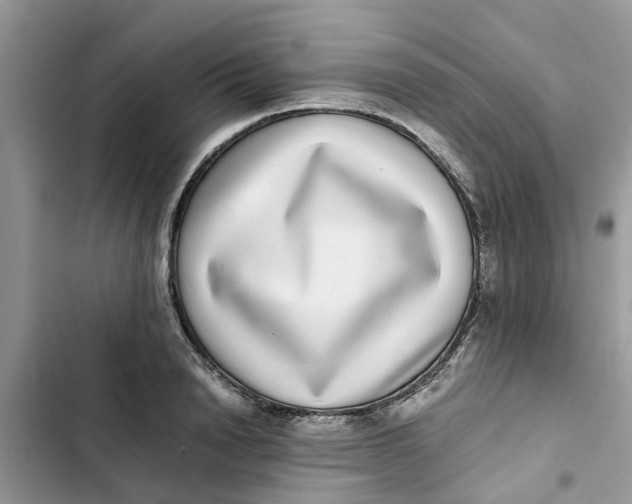 X0000103270846200809191740