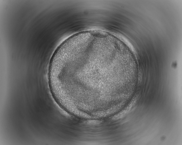 X0000103270847200809191740