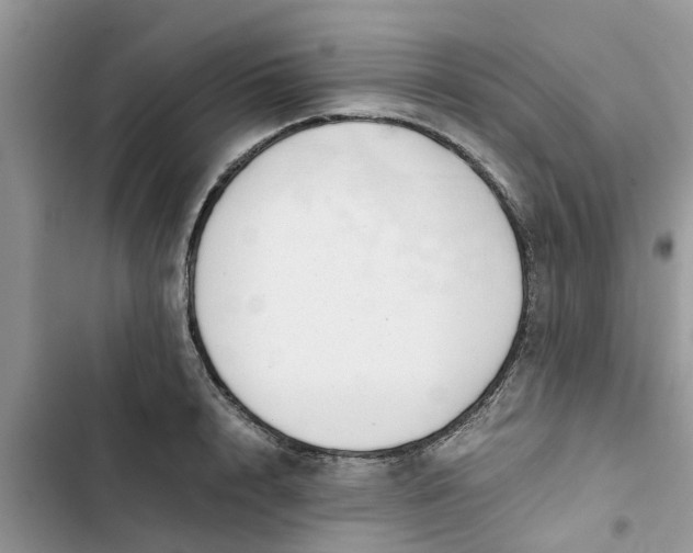 X0000103270848200809191740
