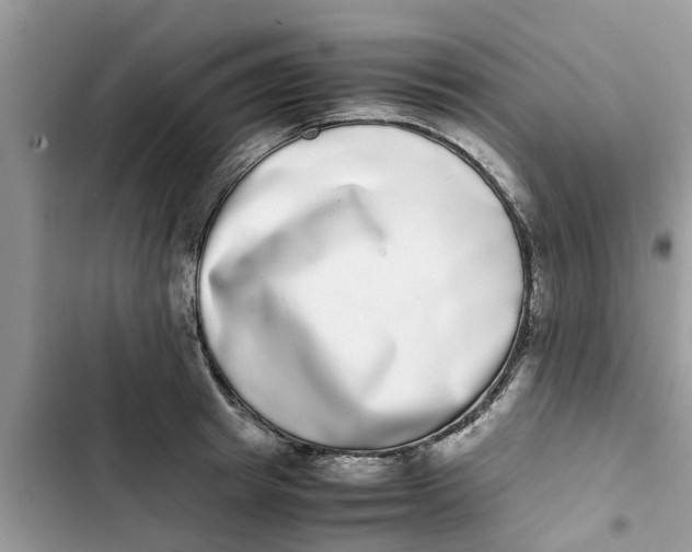 X0000103270849200809191740