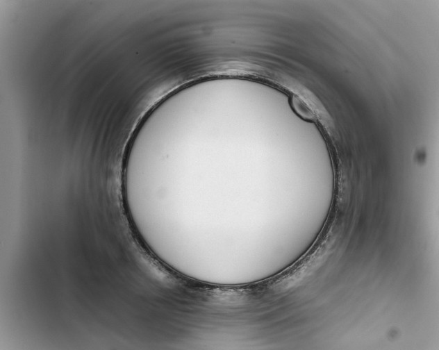 X0000103270850200809191740