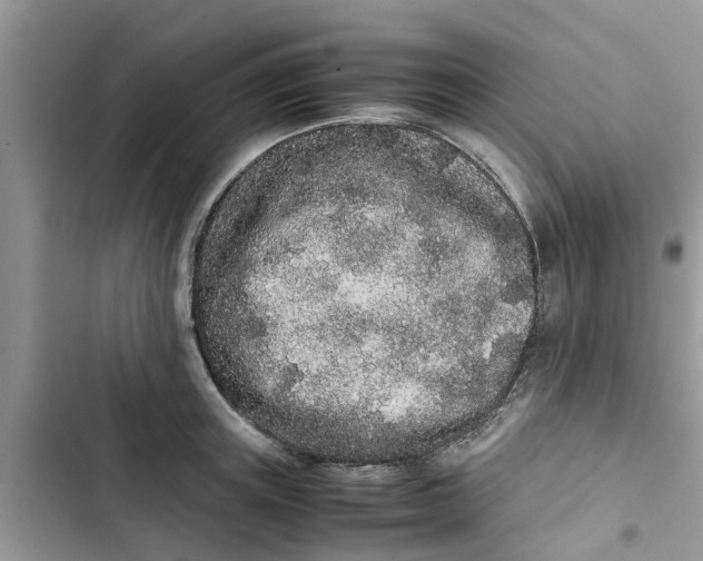 X0000103270851200809191740
