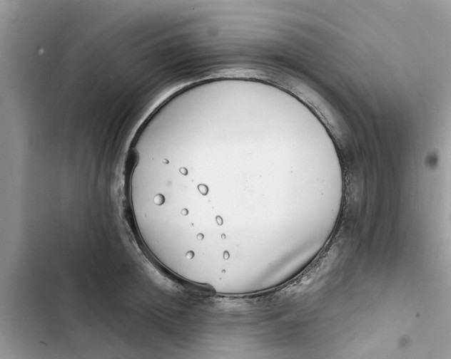 X0000103270852200809191740