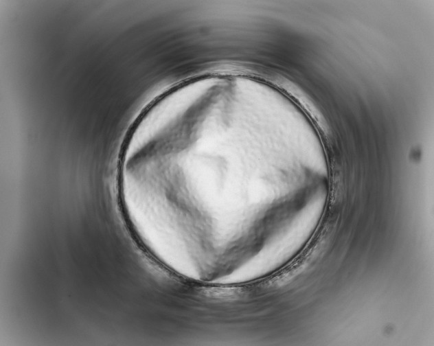X0000103270853200809191740