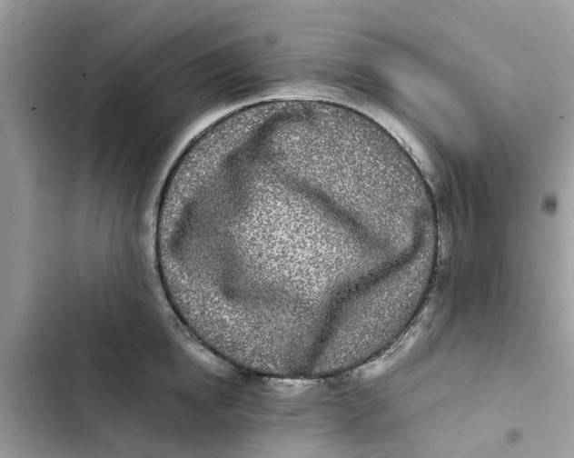 X0000103270854200809191740