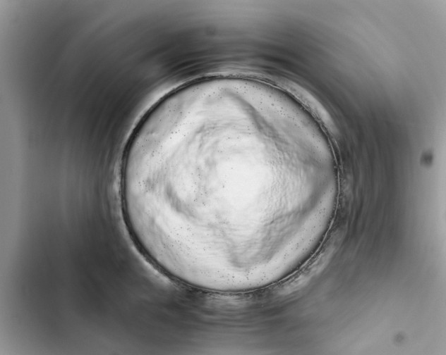 X0000103270855200809191740