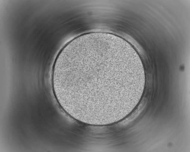 X0000103270856200809191740