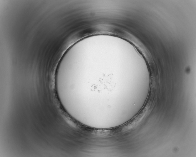 X0000103270858200809191740