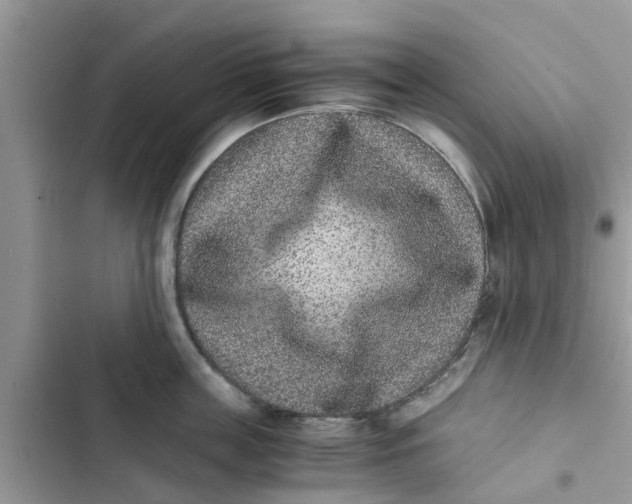 X0000103270859200809191740