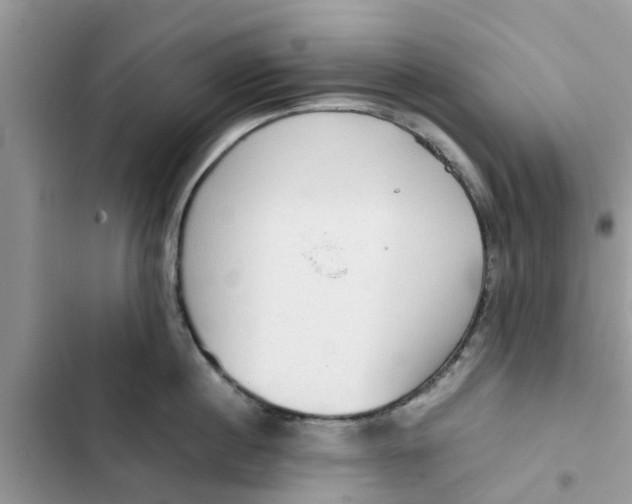 X0000103270860200809191740
