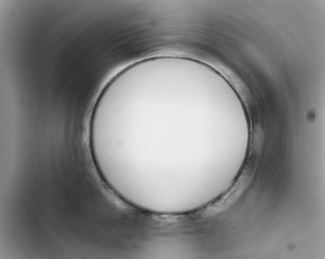 X0000103270862200809191740