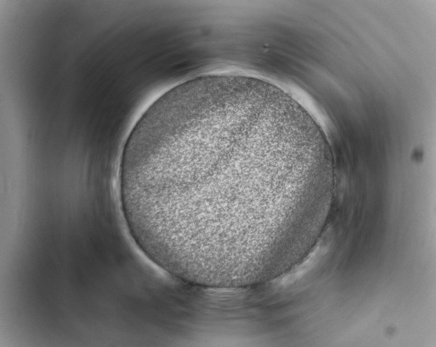 X0000103270863200809191740