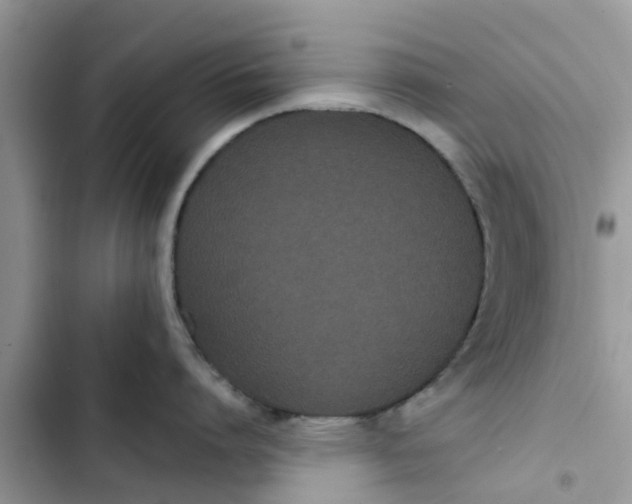 X0000103270864200809191740