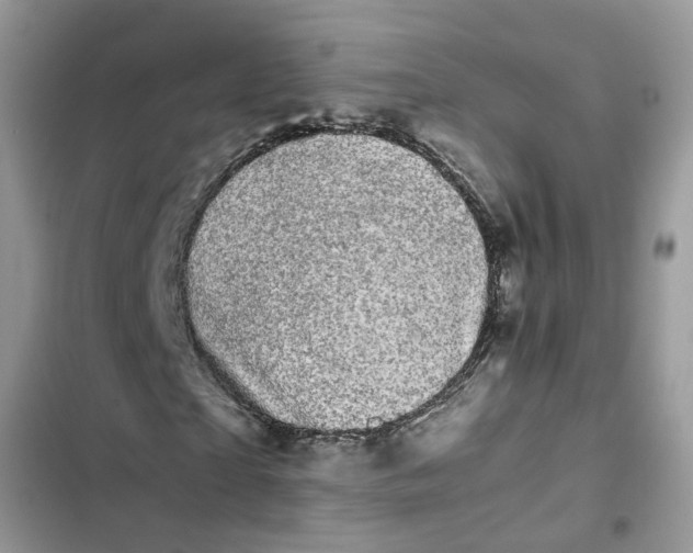 X0000103270865200809191740