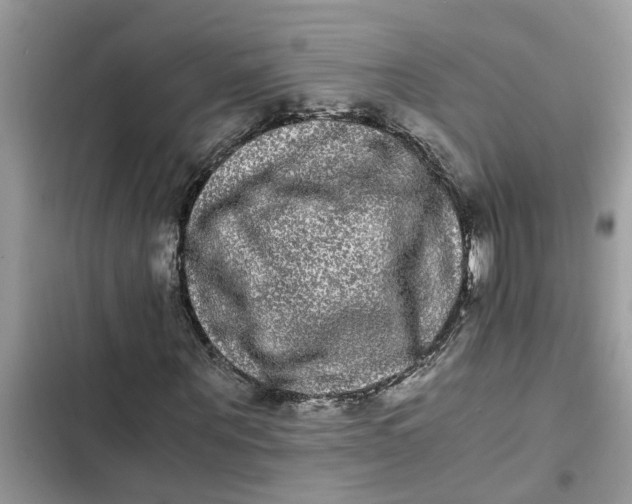 X0000103270867200809191740