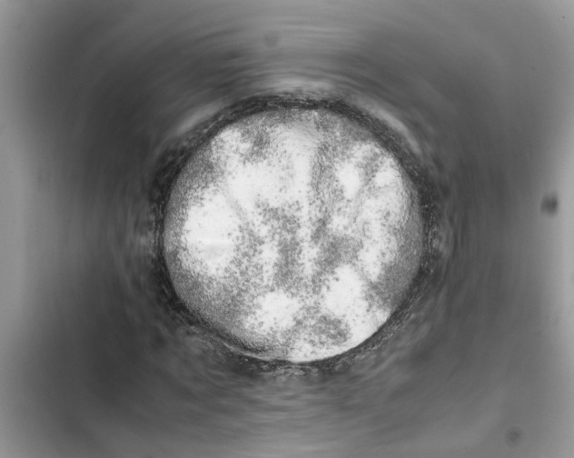 X0000103270869200809191740