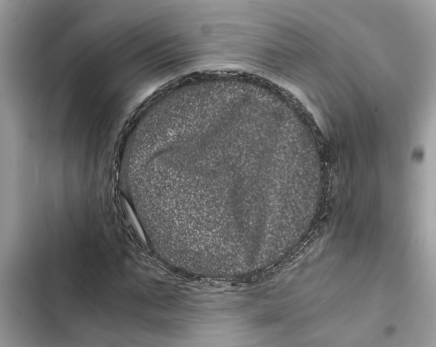 X0000103270871200809191740