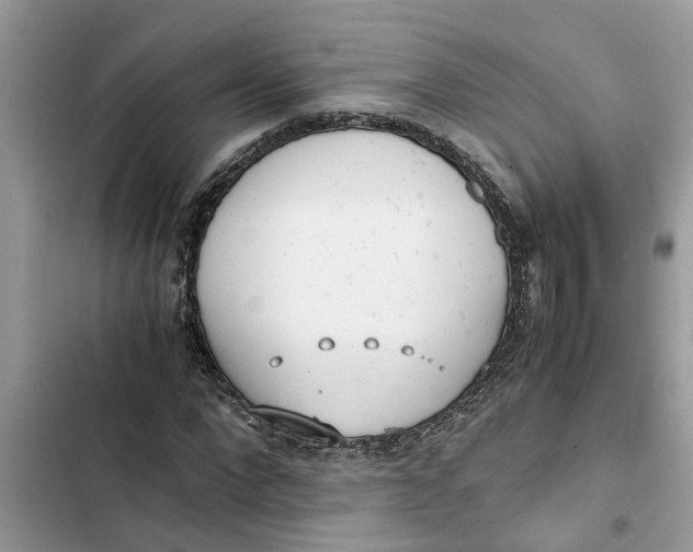 X0000103270872200809191740