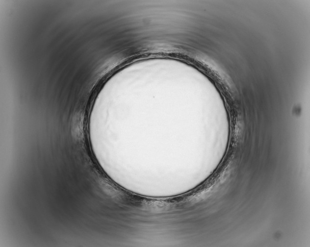 X0000103270873200809191740