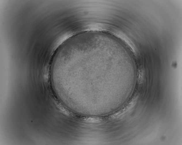 X0000103270874200809191740