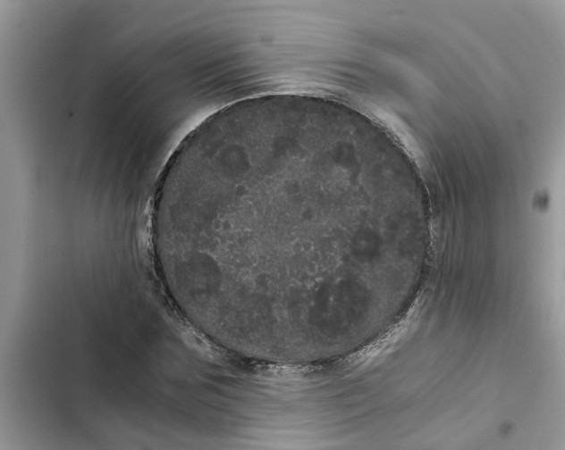 X0000103270875200809191740