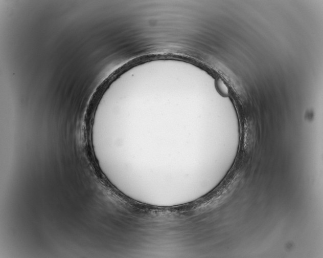 X0000103270876200809191740