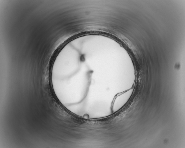 X0000103270877200809191740