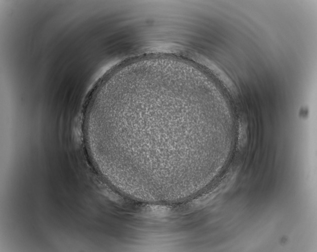 X0000103270878200809191740
