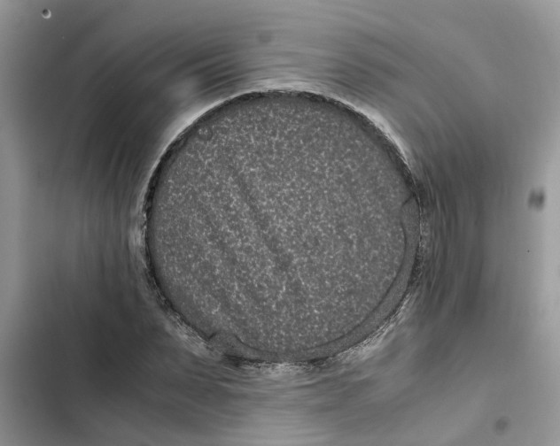 X0000103270879200809191740