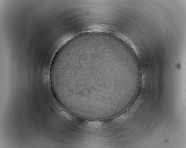 X0000103270882200809191740
