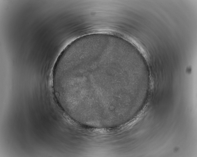 X0000103270883200809191740