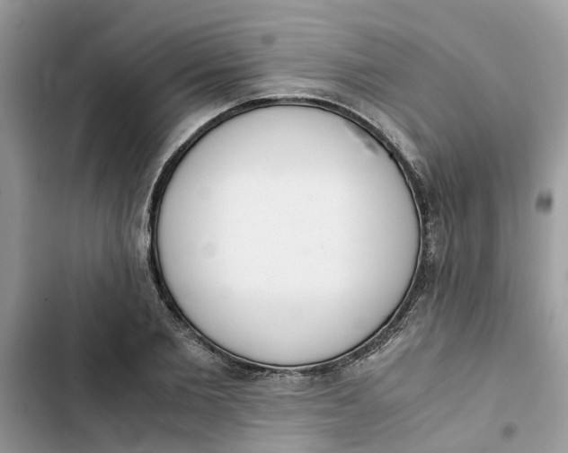 X0000103270885200809191740