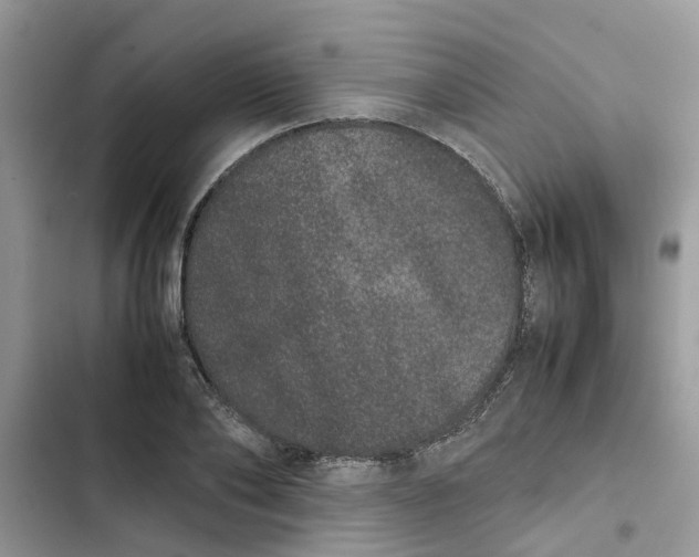 X0000103270886200809191740