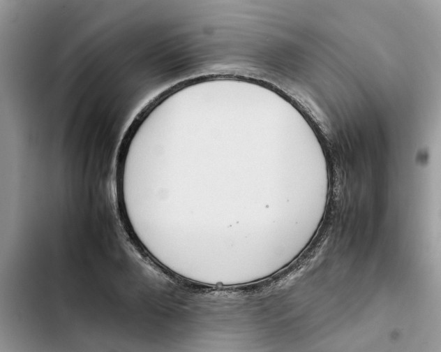 X0000103270888200809191739