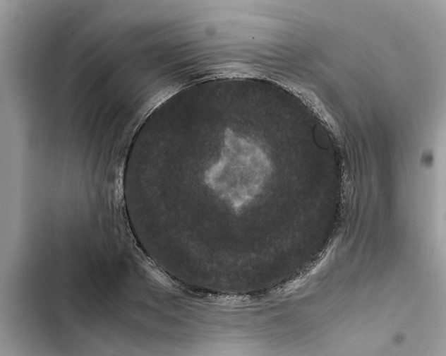 X0000103270889200809191739