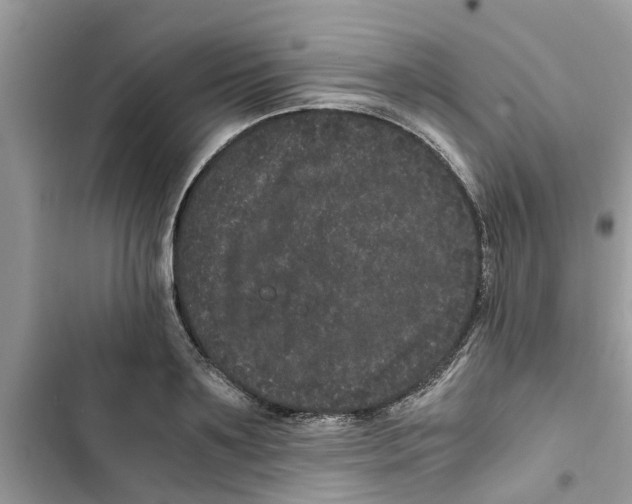 X0000103270891200809191739