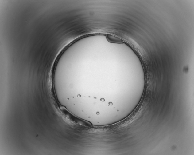 X0000103270892200809191739