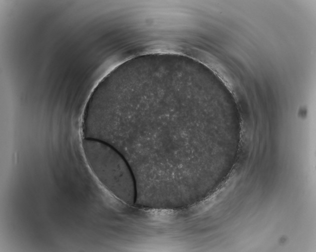 X0000103270893200809191739