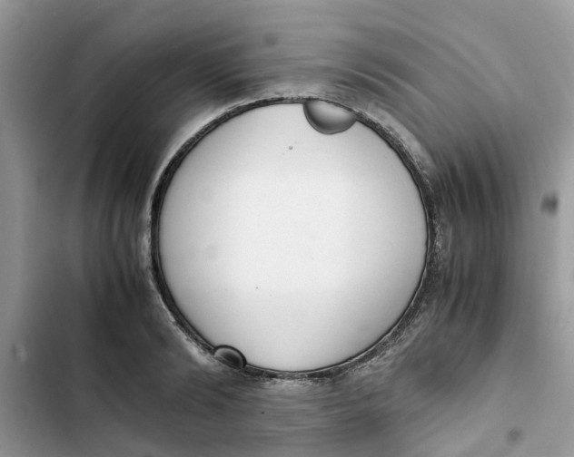 X0000103270894200809191739